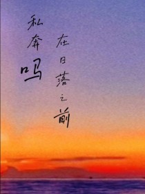 男主女主是宋念青,张浩,郑文的小说是什么_私奔吗，在日落之前