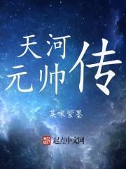 小说《天河元帅传》TXT百度云_天河元帅传