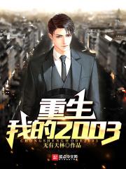 小说《重生我的2003》TXT下载_重生我的2003