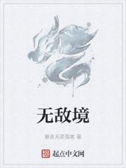 无敌境_无敌境