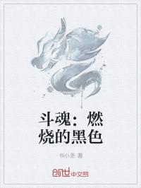 男主女主是沈湘云,陈诗琪,欧阳雪敏的小说是什么_斗魂：燃烧的黑色