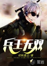 兵王无双txt全集_兵王无双