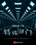 小说《特殊部门SIA》TXT下载_特殊部门SIA