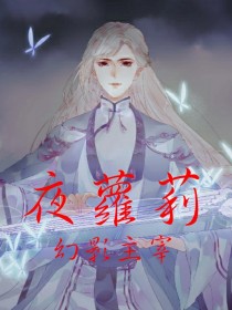 小说《夜萝莉——幻影主宰》TXT百度云_夜萝莉——幻影主宰