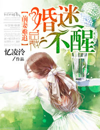 男主女主是刘雅琳,欧尔岚,印昌赫的小说是什么_前妻难追，总裁婚迷不醒