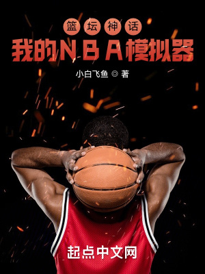 男主女主是陈风,吴雪儿,何润东的小说是什么_篮坛神话：我的NBA模拟器