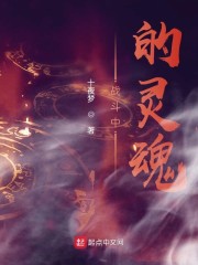 战斗中的中国小说下载_战斗中的灵魂