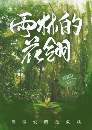 雨林的花翎小说全文免费阅读_雨林的花翎