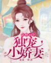 小说《隐婚100分：独宠小娇妻》TXT下载_隐婚100分：独宠小娇妻