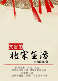 男主女主是李三叔,郑双成,李三姐的小说是什么_文盲的北宋生活