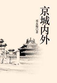 男主女主是聂小轩,沙舟,乌世保的小说是什么_京城内外