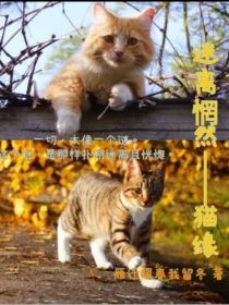 小说《谜离惘然——猫缘》TXT下载_谜离惘然——猫缘