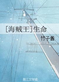 z先生 海贼王_[海贼王]生命