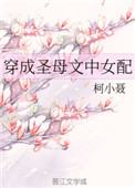 [小说][穿越重生]《穿成圣母文中女配》TXT全集下载（全本） 作者：柯小聂（晋江金牌推荐VIP完结）  玄_穿成圣母文中女配