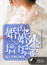男主女主是陈浩,刘悦,钟恬的小说是什么_婚内婚外，墙上墙下