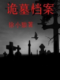 男主女主是赵宇鑫,林玄,陈晓的小说是什么_诡墓档案