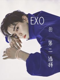 小说《EXO的第二选择》TXT下载_EXO的第二选择