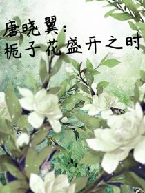 小说《唐晓翼：栀子花盛开之时》TXT百度云_唐晓翼：栀子花盛开之时