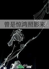 曾是惊鸿照影来若音免费阅读_赵清绾李承曜