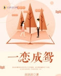 男主女主是柳川风,刘宏,程沅的小说是什么_一恋成鸳