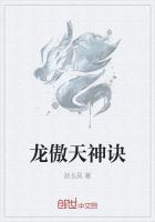 男主女主是李成敏,龙云峰,黑龙的小说是什么_龙傲天神诀