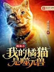 小说《漫威之我的橘猫是噬元兽》TXT下载_漫威之我的橘猫是噬元兽