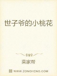 男主女主是刘勇清,赵氏,老刘的小说是什么_世子爷的小桃花