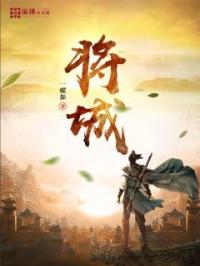 男主女主是何安,时宇,林青山的小说是什么_将城