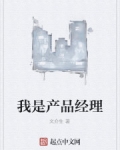 男主女主是程文,张昱薇,陈强的小说是什么_我是产品经理