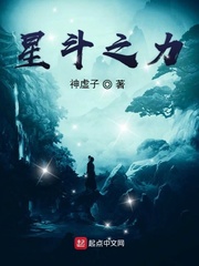 星斗 小说_星斗之力