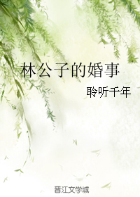 男主女主是叶知秋,徐浩宇,肖续的小说是什么_林公子的婚事