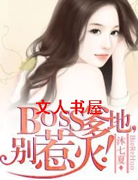 boss别惹火全文免费_BOSS爹地,别惹火！