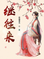 男主女主是幸儿,李景顺,白磊的小说是什么_继往来