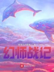 陈家鑫塞尔达《幻师战记》_幻师战记