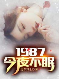 陆浩苏敏小说_1987：今夜不眠