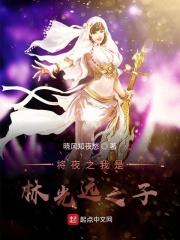 男主女主是林昊,曲妮,昊天的小说是什么_将夜之我是林光远之子