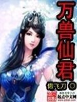 男主女主是林羽,李婉君,李婉的小说是什么_万兽仙君