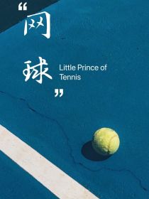 按照原著动漫版复刻的小说，可以当成小说版的网球王子去看。原版的年纪太小，我这边调整为高中。热血的运动_网王之我的殿下