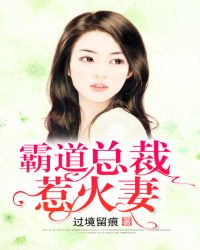 陆锦臣婉婉《霸道总裁惹火妻》_霸道总裁惹火妻