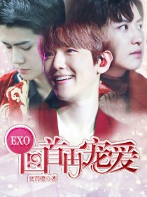 男主女主是边伯贤,吴世勋,朴灿烈的小说是什么_EXO：回首再宠爱