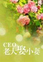 小说《CEO老大娶小妻》TXT下载_CEO老大娶小妻