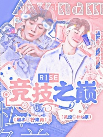 竞技小说十大巅峰之作_R1SE：竞技之巅