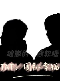 男主女主是徐静欣,严浩翔,刘耀文的小说是什么_TNT：团队幸福
