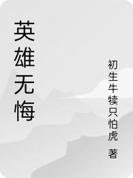 小说英雄无悔_英雄无悔