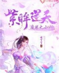 男主女主是紫灵儿,紫菱,紫晶的小说是什么_紫眸逆天：废柴大小姐