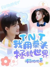 小说《TNT：我用拳头拯救世界》TXT下载_TNT：我用拳头拯救世界