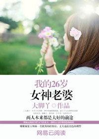 男主女主是陆锋,楚芳宁,李斌的小说是什么_我的26岁女神老婆