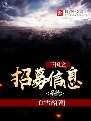 男主女主是刘文宾,方素琴,赵云的小说是什么_三国之招募信息系统