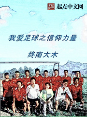 男主女主是木紫枫,陈光佐,赵家明的小说是什么_我爱足球之信仰力量