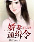 男主女主是唐靳禹,沈星羽,沈紫灵的小说是什么_婚从天降：娇妻通缉令
